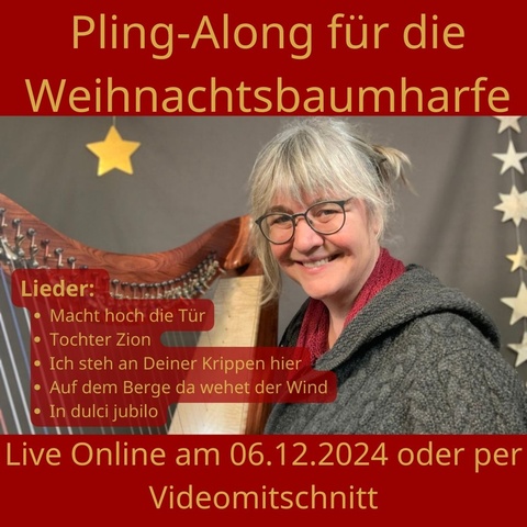 Pling-Along für die Weihnachtsbaumharfe Kursbild